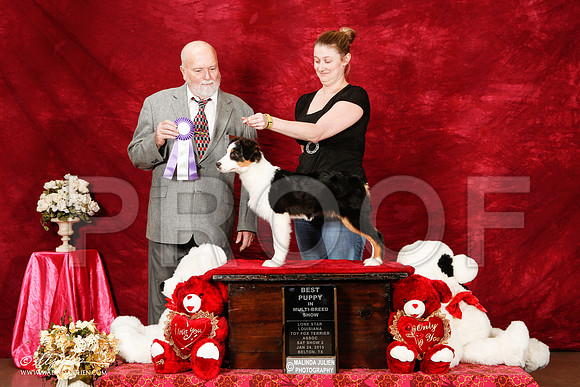 _ST_2298-2-BeltonJan2015-HR3