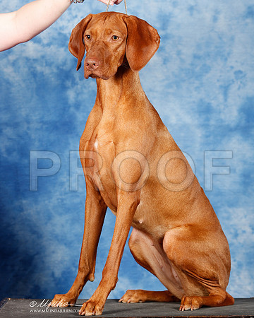 _ST_7395_2-SAJul2014-HR3