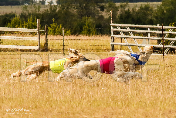 _MJ_5615-AfgBeltonOct2014-HR3