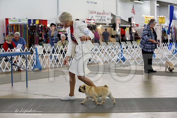 _HR_2759-DallasJul2014-HR3
