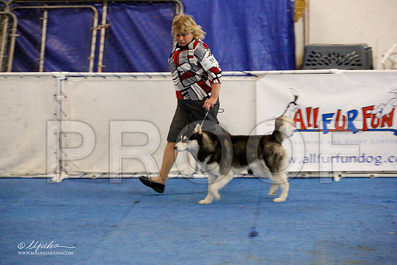 _M3_0028-AddisonHuskyMar2015-HR3