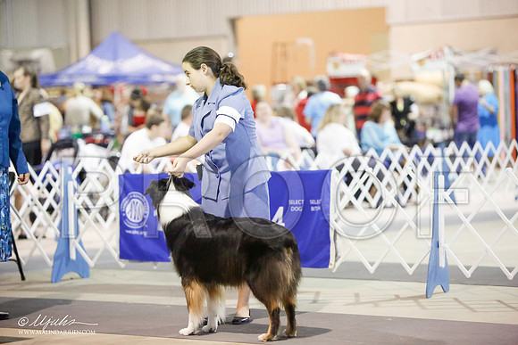 _HR_8224-SAJul14-HR3