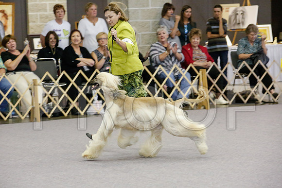 _JJ_2516-AfgBeltonOct2014-HR3