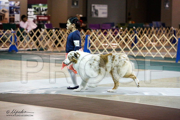 _JN_9068-ASCACollegeStationNov2014-HR3