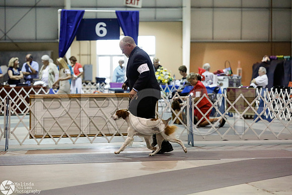 _CL_9176-SanAntonioJul2014-HR