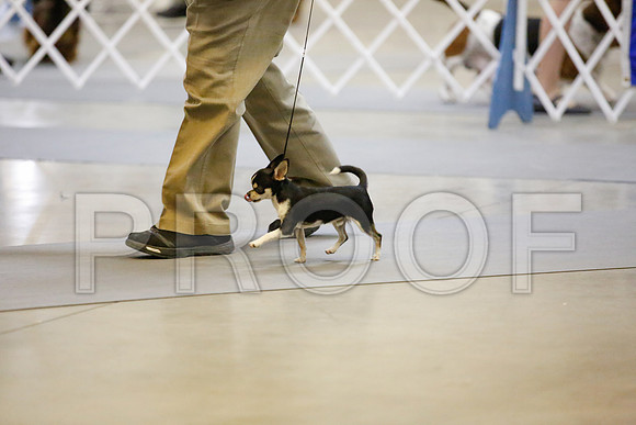 _JJ_8352-AmarilloSept2014-HR3