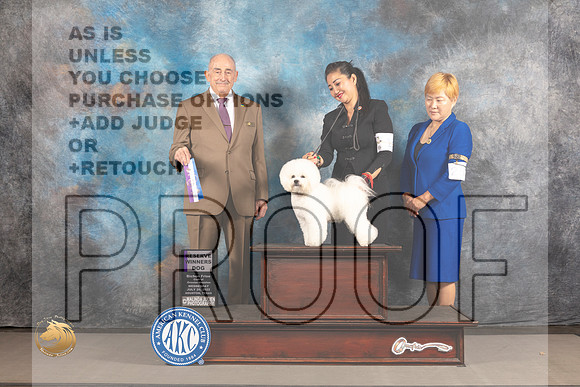 Bichon Frise #15 WED RWD Judge Joe Walton_MJ_2711_Houston_2022_HR3