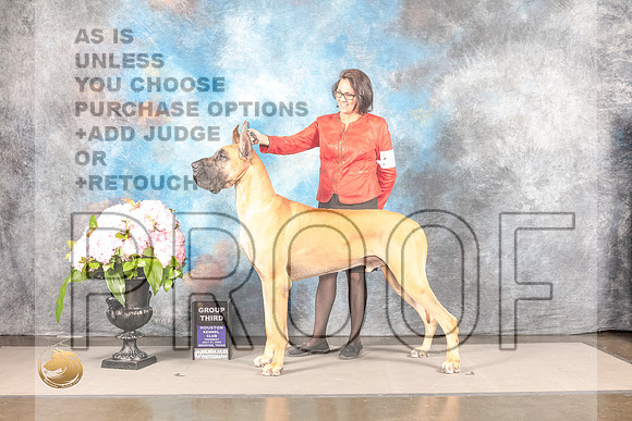Great Dane #5 THUR G3 Judge Karen McFarlaneGreat Dane #5 THUR G3 Judge Karen McFarlane_MJ_8242_Houston_2022_HR3_Houston_2022_HR3