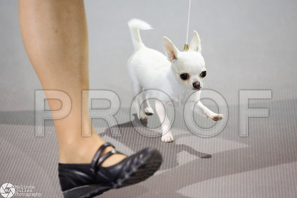 _JJ_2718-SanAntonioJul2014-HR