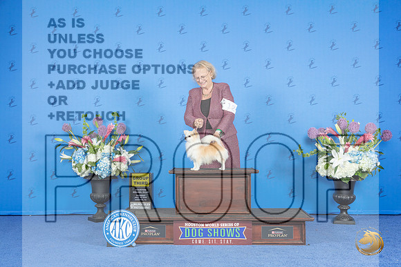 Chihuahua Long Coat # THUR G3 Judge Angela Pickett__JP_9582_Houston_2024_HR3