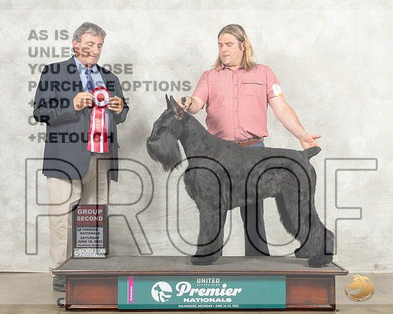 Giant Schnauzer #288 Sat G2 Judge Ronald Sacca__MJ_8522_Premier_2022_HR3