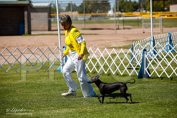 _JJ_8409-AlamogordoOct2014-HR3