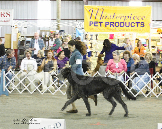 Group Hound Saturday - 0009