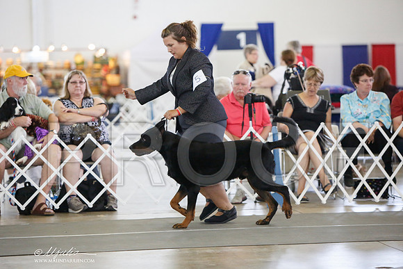 _JJ_3020-DallasJul2014-HR3