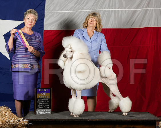 _ST_1866-AmarilloSep2014-HR3