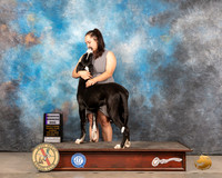Great Dane #21 Sun RWD Judge Gary Andersen