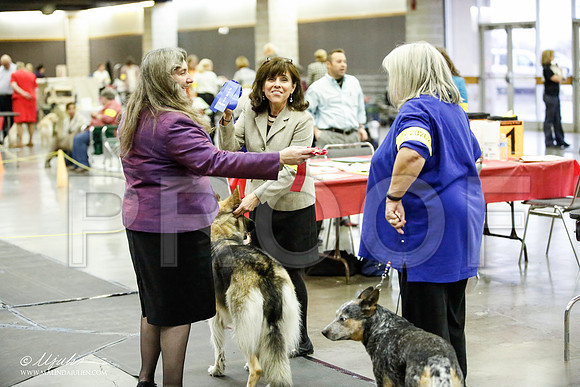 _JJ_7036-BeltonJan2015IABCA-HR3