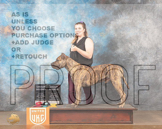Presa Canario #318 Sat BOB G2MMJ_5666_Lngvw2022HR3