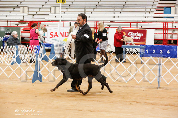 _JN_6286-TxArJun2014-HR3