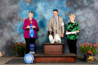 Papillion #23 Sat G1 Judge Christie Martinez