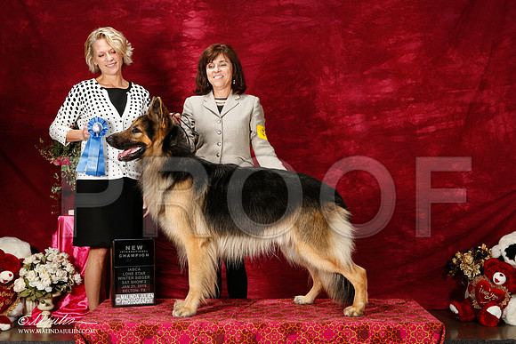 _ST_2700-2-BeltonJan2015IABCA-HR3