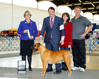 Boerboel #126 Sat BIMisc Brett Daniel Agent Perry Payson Judge Betty Anne Stenmark