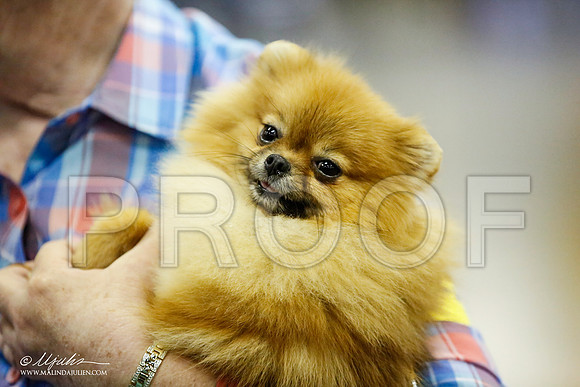 _JJ_5429-BeltonJan2015IABCA-HR3