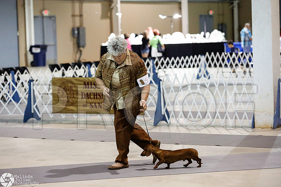 _CL_8651-SanAntonioJul2014-HR