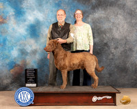 Chesapeake Bay Reetriever #5 Fri OHG2 Judge Eric Liebes