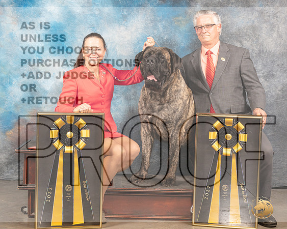 Mastiff #5 BISx2MMJ_5921_Mdlnd2022_HR3