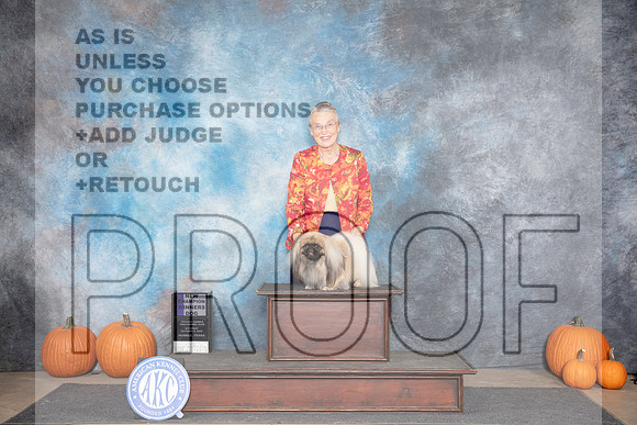 Pekingese #5 Sat WD NCH Judge Raymond Filburn__JP_9011_Humble_2024_HR3