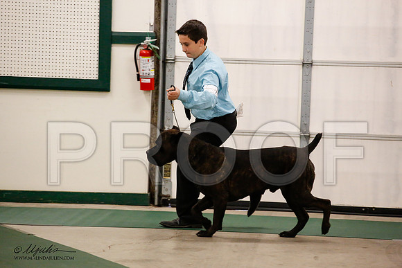 _JN_8605-NrmnNov2014-HR3