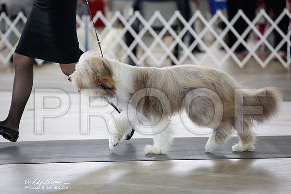 _JJ_5372-DallasJul2014-HR3