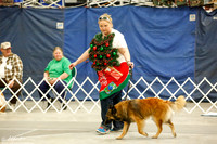 Costume Contest Sat Ring