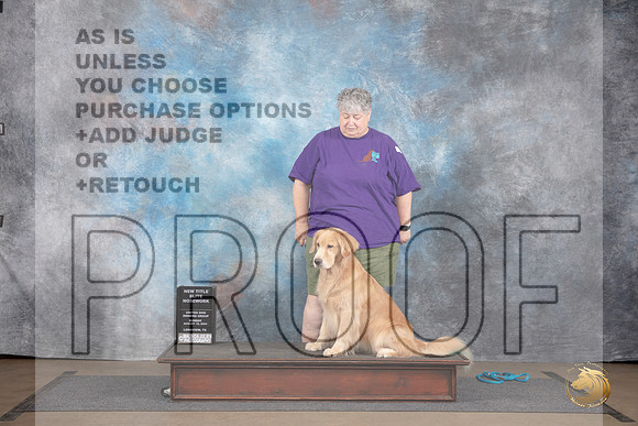 Golden Retriever #616 Sun New Title Elite Judge Peter Betchly__JP_2957_LongviewTX_2024_HR3