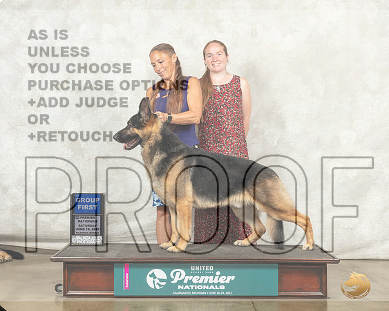 German Shepherd Dog #568 __MJ_9636_Premier_2022_HR3