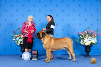 Mastiff #7 SAT G2 Judge Annella Cooper