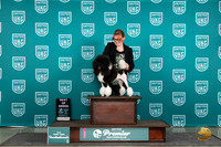 Poodle MC #1160 Thur T10BOB Judge Sharon Griffin