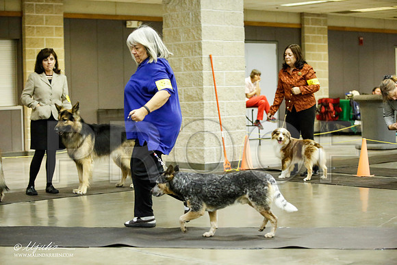 _JJ_7047-BeltonJan2015IABCA-HR3