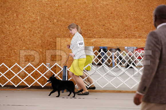_RH_6359-CarlrolltonSept2014-HR3