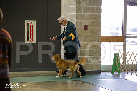 _LH_3073-BeltonJan2015-HR3