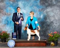 Deb Reed San Antonio 2024