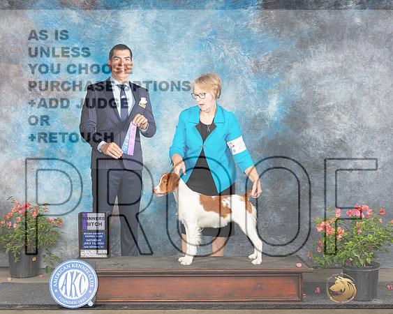 Brittany #22 Sun WB Judge Victor Rosado_JP_6265e_San Antonio_2024-HR3