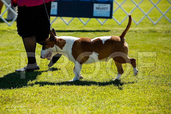 _JN_4848-AlamogordoOct2014-HR3