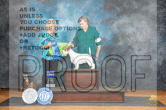Russelt Terrier #5 Sat G1 Judge Lisa Graser__JP_8067_MARSHALL_2024_HR3