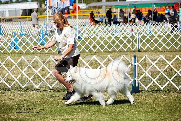 _JJ_3807-AlamogordoOct2014-HR3
