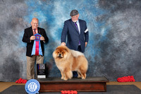 Chow #5 Sat RBIS Judge Sidney Marx