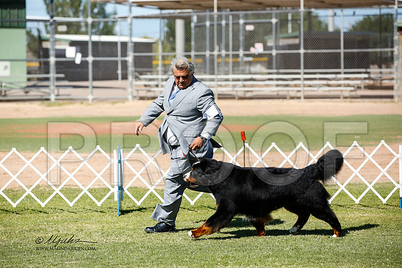 _JN_0659-AlamogordoOct2014-HR3