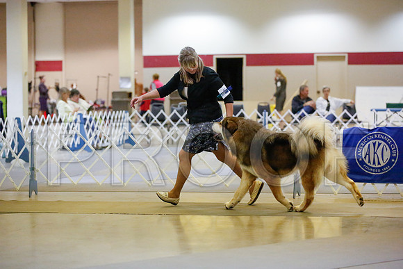 _JN_6926-AmarilloSept2014-HR3