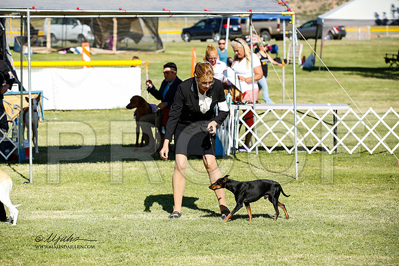 _JN_1611-AlamogordoOct2014-HR3